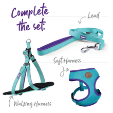 Active Dog Collar - Aqua & Purple