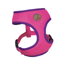 Active Soft Walking Dog Harness - Bloom Burst