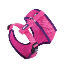 Active Soft Walking Dog Harness - Bloom Burst