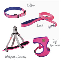 Active Soft Walking Dog Harness - Bloom Burst