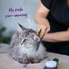 Pet Grooming Comb