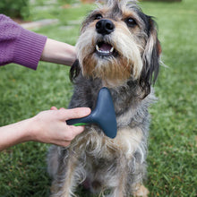 Grooming Rake