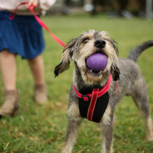 Super Strong Rubber Ball