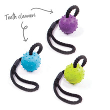 Healthy Gums Sling Ball