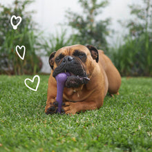 Catch N' Chew Dog Rubber Bone