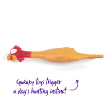 Cheeky Chicken Squeaky Dog Toy