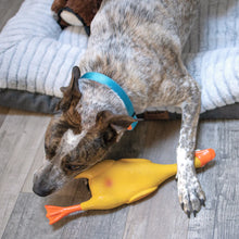 Dozy Duck Squeaky Dog Toy