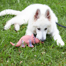 Tricky Triceratops Squeaky Dog Toy