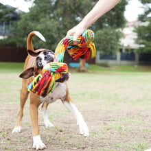 Braided Rope Knot Bone Dog Toy