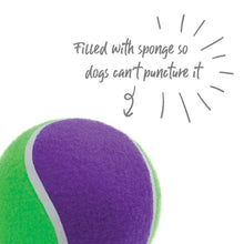 Puncture Proof Tennis Ball Dog Toy