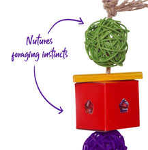 Twin Ball & Cardboard Foraging Toy