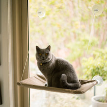 The Lookout Cat Window Bed