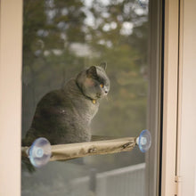 The Lookout Deluxe Cat Window Bed