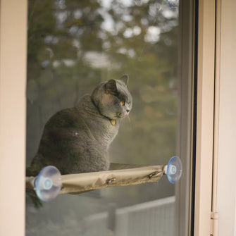 The Lookout Deluxe Cat Window Bed