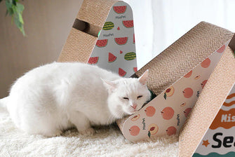 Misspet Summer Triangle Cat Scratchers