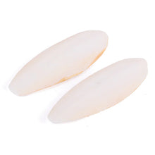 Natural Cuttlebone - 2 Pack