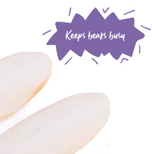 Natural Cuttlebone - 2 Pack