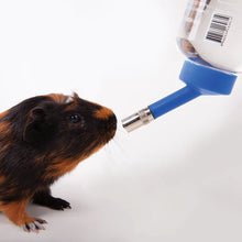 Guinea Pig Drinking Bottle - 250ml