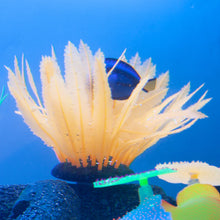 Silicone Orange Fern With Blue Tang