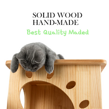 HONEYPOT CAT Solid Wood Cat Tree - 180359