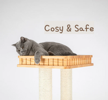 HONEYPOT CAT Solid Wood 5-Level Cat Tree - 180172pro