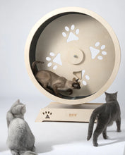 HONEYPOT CAT Cat Wheel Cat Exercise Treadmill Detachable Carpet