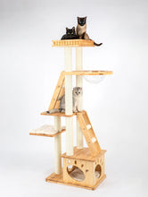 HONEYPOT CAT Solid Wood 5-Level Cat Tree - 180172pro