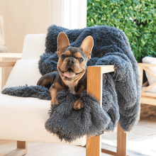 Calming Pet Blanket Tranquil Grey