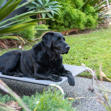 Canvas/Twill Mid Grey Raised Dog Bed