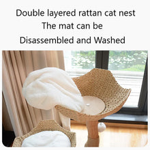 Solid Wood Hemp Rope Cat Tree