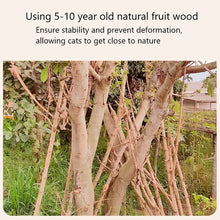 Solid Wood Hemp Rope Rattan Grass Cat Tree