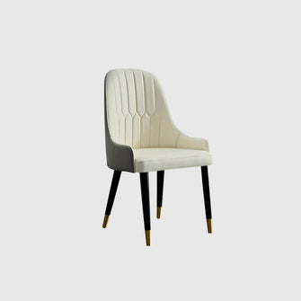 Modern Sleek Dining Chair