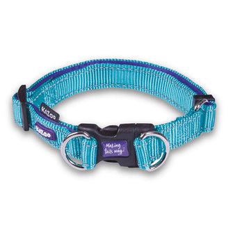 Easy-clip Dog Collar - Aqua & Purple