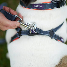 Active Dog Collar - Slate & Orange