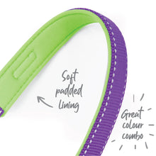 Easy-clip Dog Collar - Purple & Lime