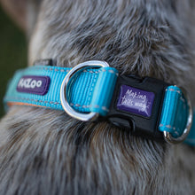 Easy-clip Dog Collar - Ocean Sunrise