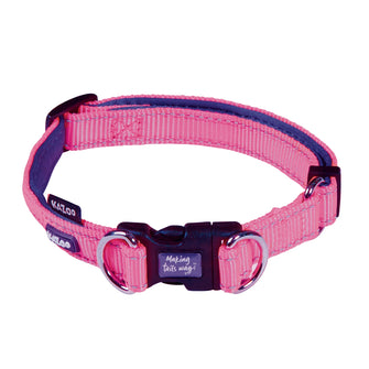 Easy-clip Dog Collar - Bloom Burst