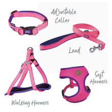 Easy-clip Dog Collar - Bloom Burst