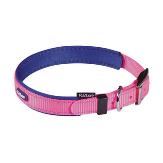 Active Dog Collar - Bloom Burst