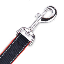 Active Dog Lead - Slate & Orange