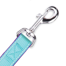 Active Dog Lead - Aqua & Purple