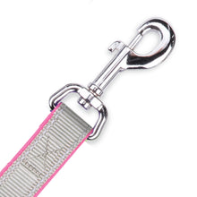 Active Dog Lead - Silver & Pink