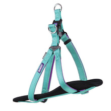 Active Walking Dog Harness