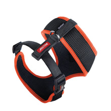 Active Soft Walking Dog Harness - Slate & Orange