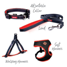 Active Soft Walking Dog Harness - Slate & Orange