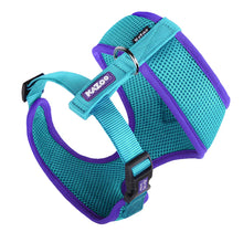 Active Soft Walking Dog Harness - Aqua & Purple