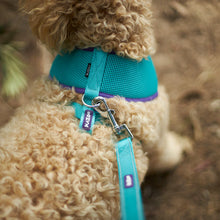 Active Soft Walking Dog Harness - Aqua & Purple