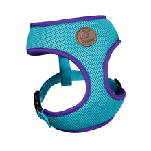 Active Soft Walking Dog Harness - Aqua & Purple