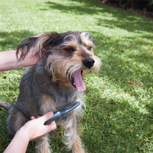 Moulting Comb