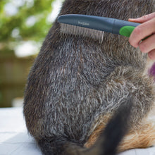 Moulting Comb